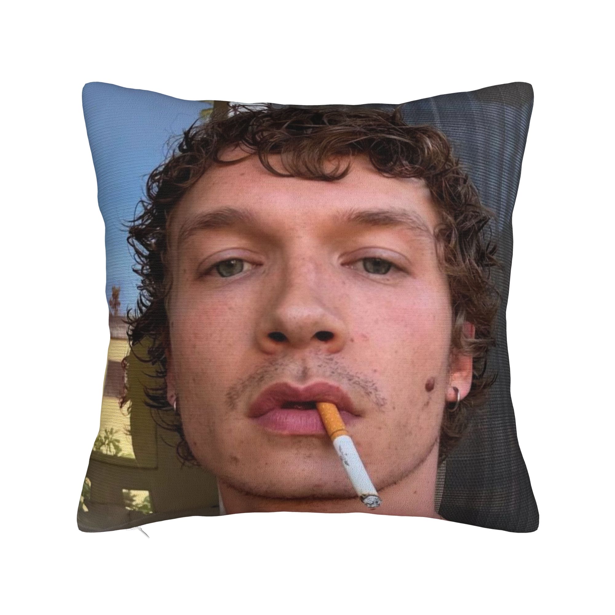 장식용 베개 커버 허드슨 윌리엄스 코너 스토리 히티드  - Pillow Cover Sublimation 리뷰 및 가격